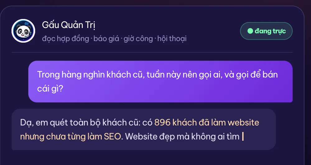 Gấu Quản Trị trả lời câu hỏi điều hành kèm số: 896 khách đã làm website nhưng chưa từng làm SEO